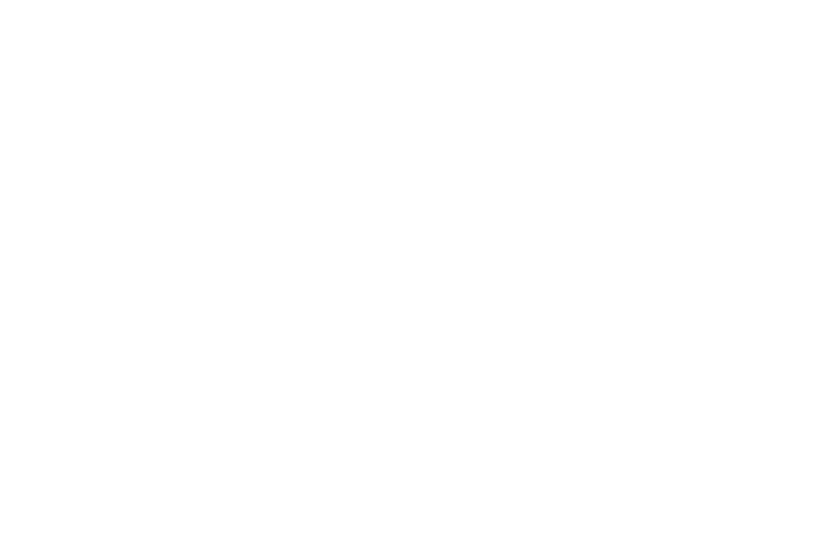 Disability Confident Committed 