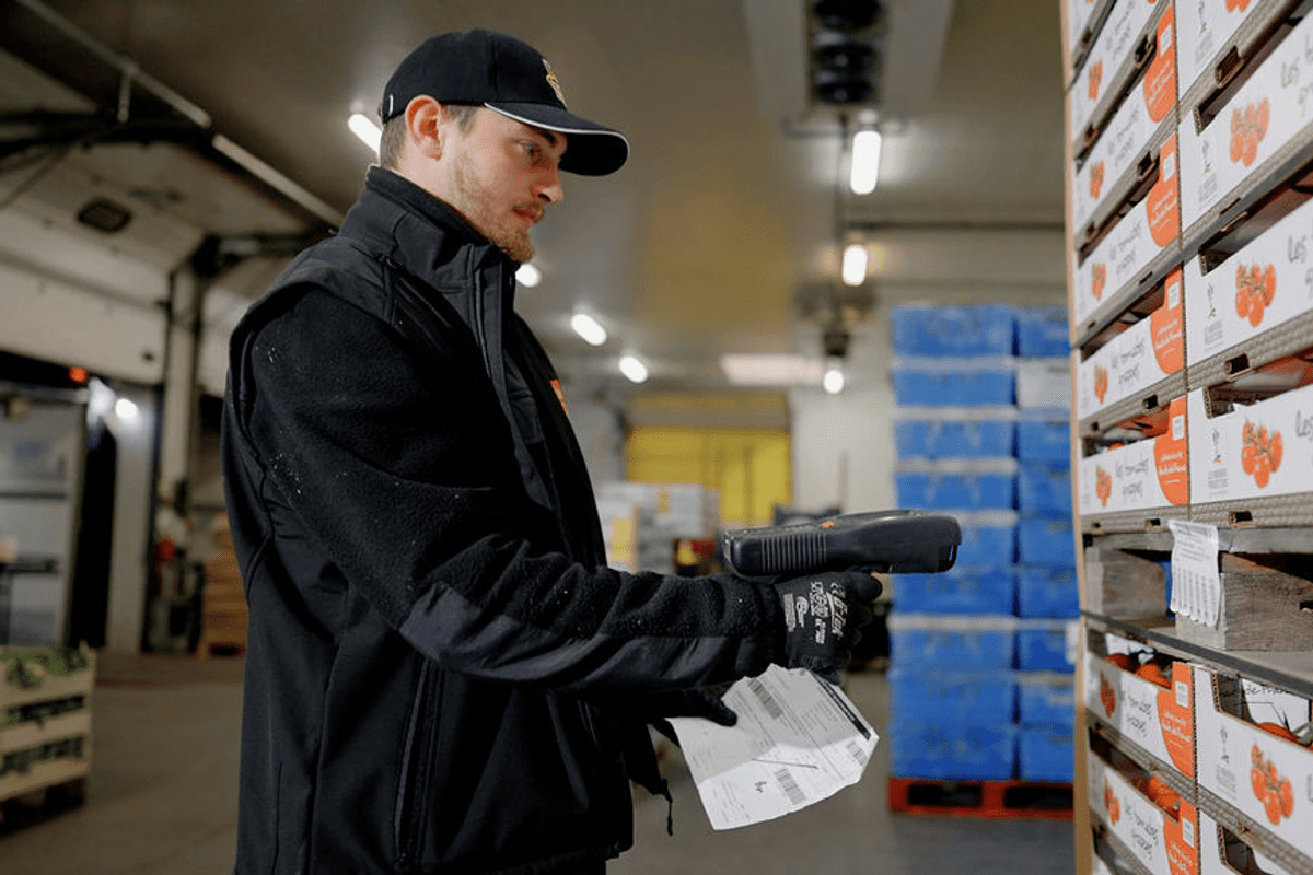 Collaborateur en mûrisserie