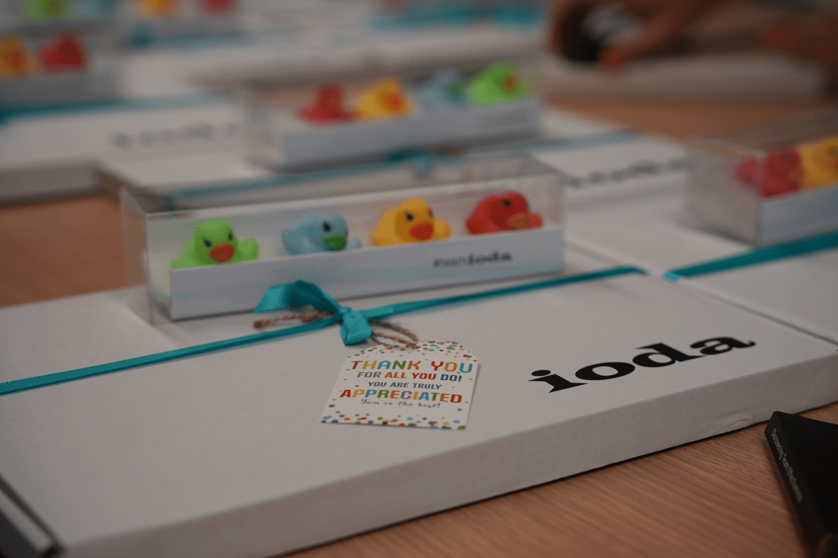 ioda ducks representing insights discovery principles used within the team