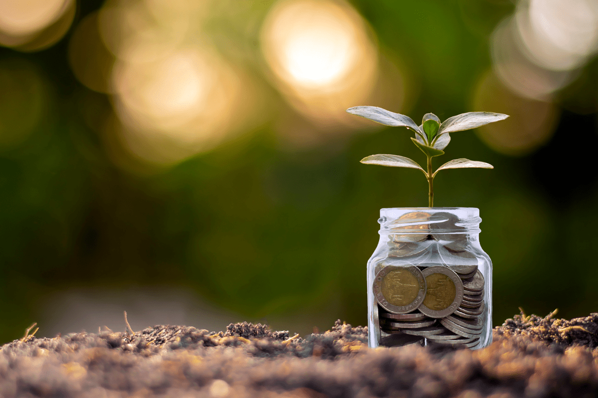 Jar of joins with a plant growing out of the jar