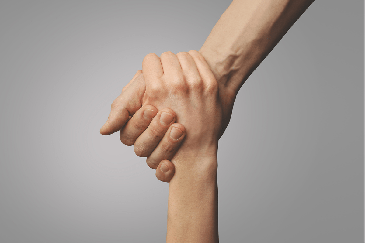 noventas groeien in het vak