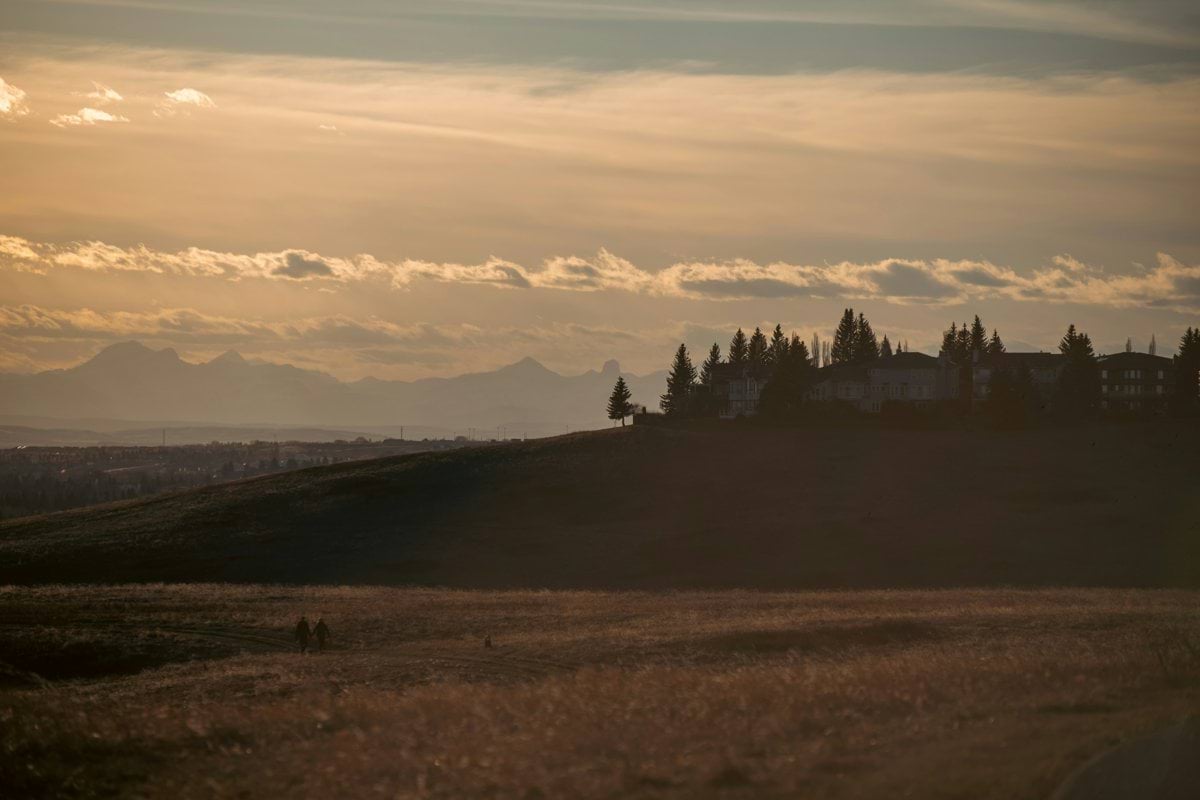 Warm sunset over a hazy landscape and trees.