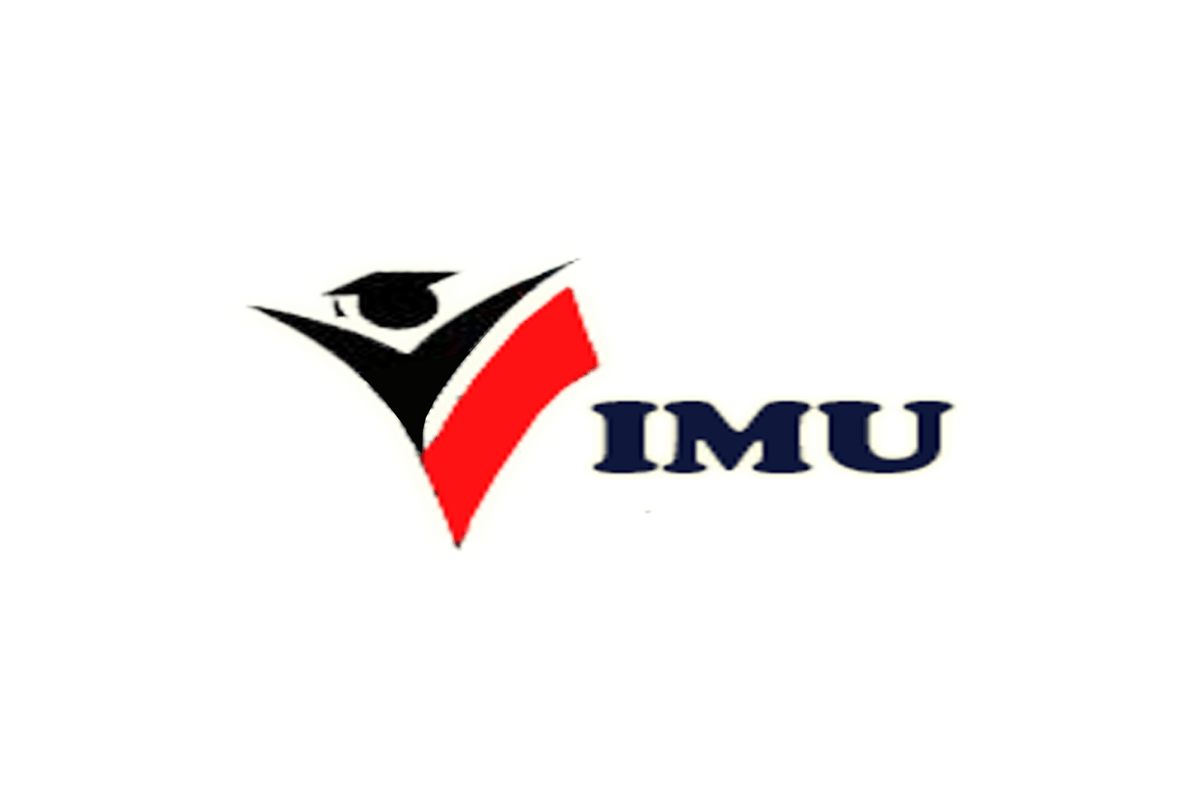 IMU