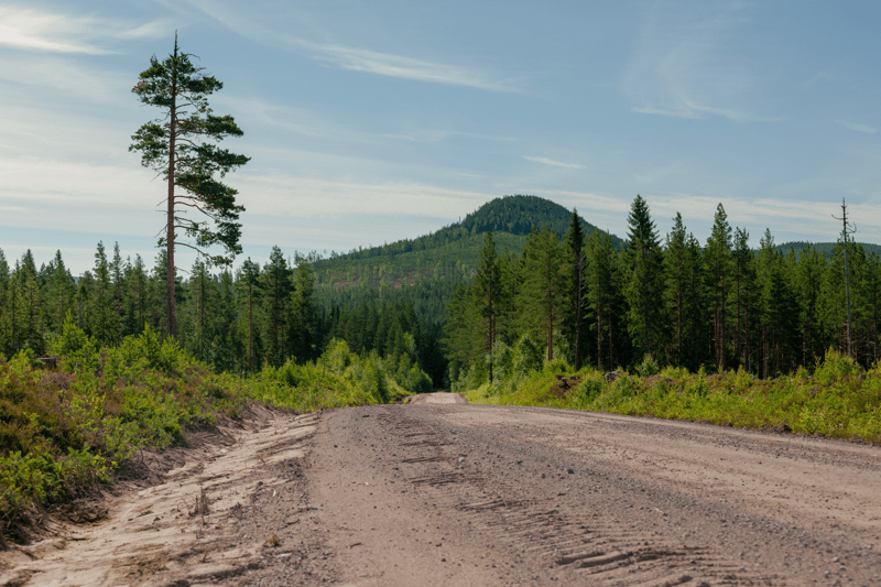 Vägmästare - Orsa Besparingsskog image