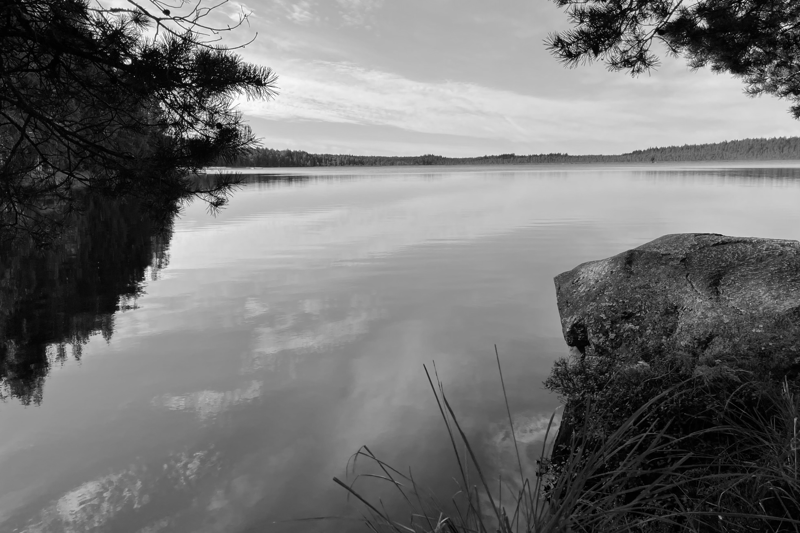 Karusellisorvaaja Tampereelle (15-20€) image