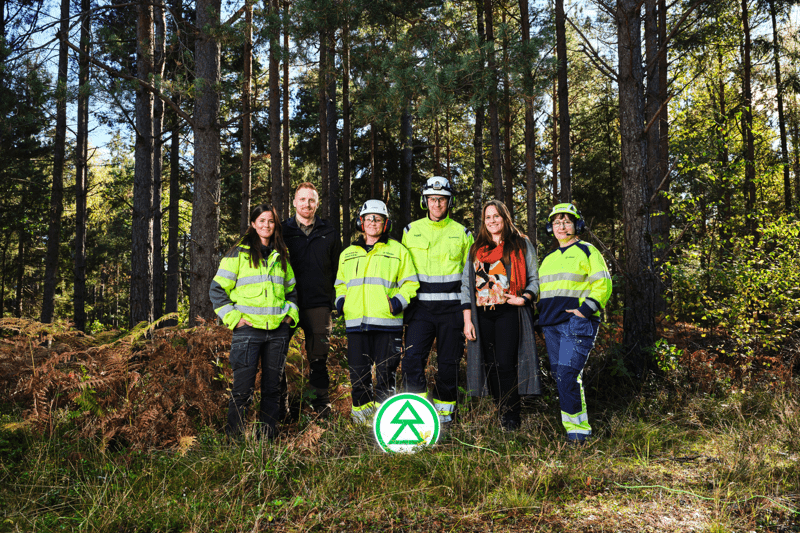 Sommarjobb Södra Skog 2023 image