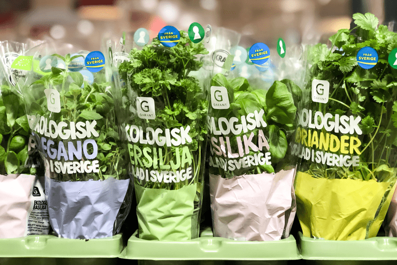 Talangprogram på Axfood image