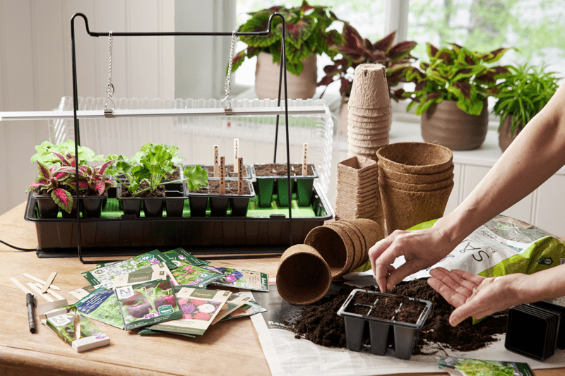 Säljare säsongsväxter - Blomsterlandet Haninge image