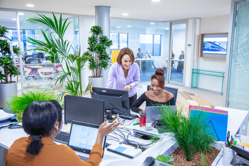 Consultant Confirmé – Transformation Digitale & Innovation  (H/F/NB) image