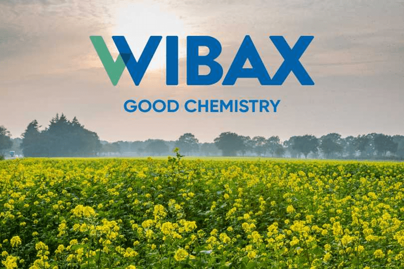 WIBAX SALES / SALES MANAGER image