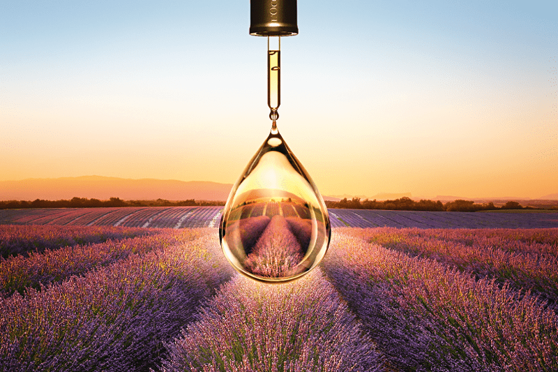 Distribution Manager - L'Occitane Group image
