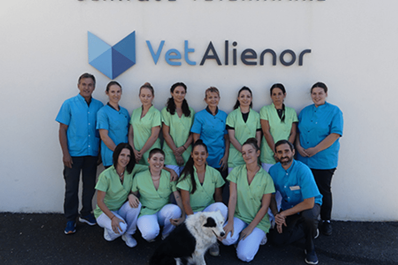 VETALIENOR - REMPLA VETERINAIRE GENERALISTE CDD (H/F) image