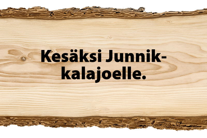 Kesätyöpaikat 2023 image