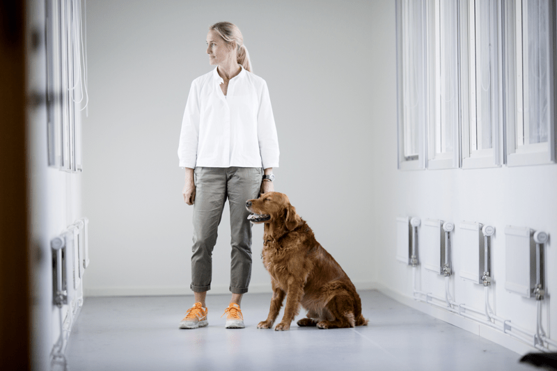 Marketing Manager Österreich und Schweiz (m/w/d) - Remote image