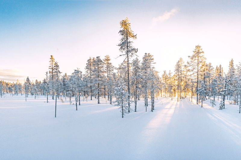 VD till Svenska Bandyförbundets eventbolag! image