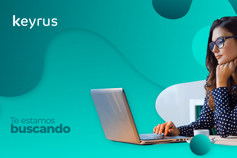 Customer Success & Renewals Management Consultant image