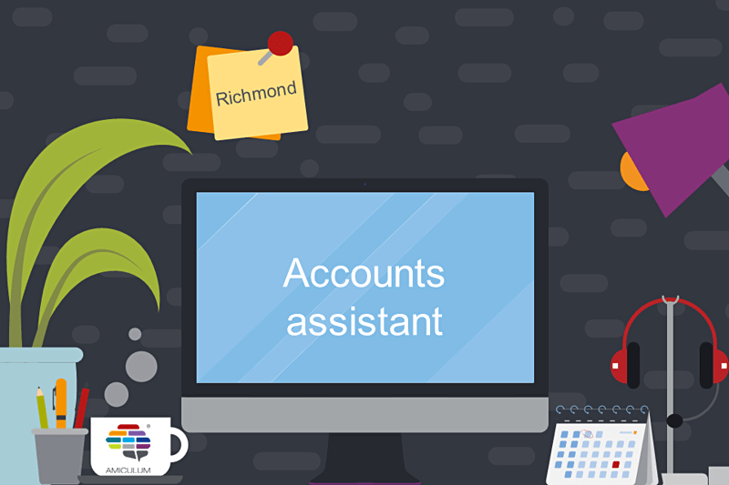 Accounts assistant image
