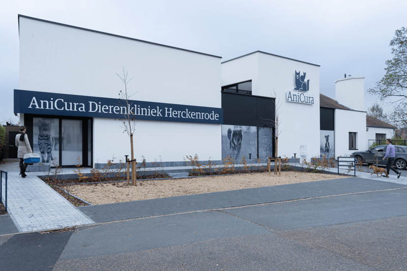 Dierenartsassistent(e) - dierenkliniek Herckenrode image