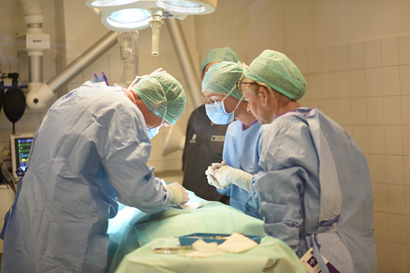 Veterinærsygeplejerske med interesse for kirurgi og anæstesi søges til AniCura Københavns Dyrehospital image