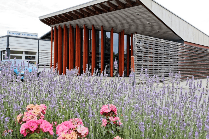 CLINIQUE VETERINAIRE ARCHE 28 - AUXILIAIRE SPECIALISE.E VETERINAIRE - CDD image