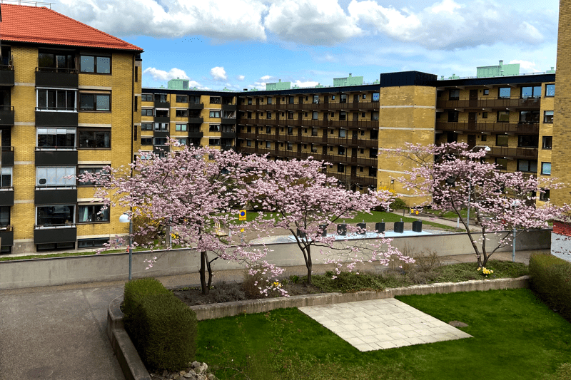 Fastighetsförvaltare med VD-ansvar image