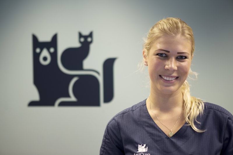 Resepsjonist søkes til AniCura Grimstad Dyreklinikk image
