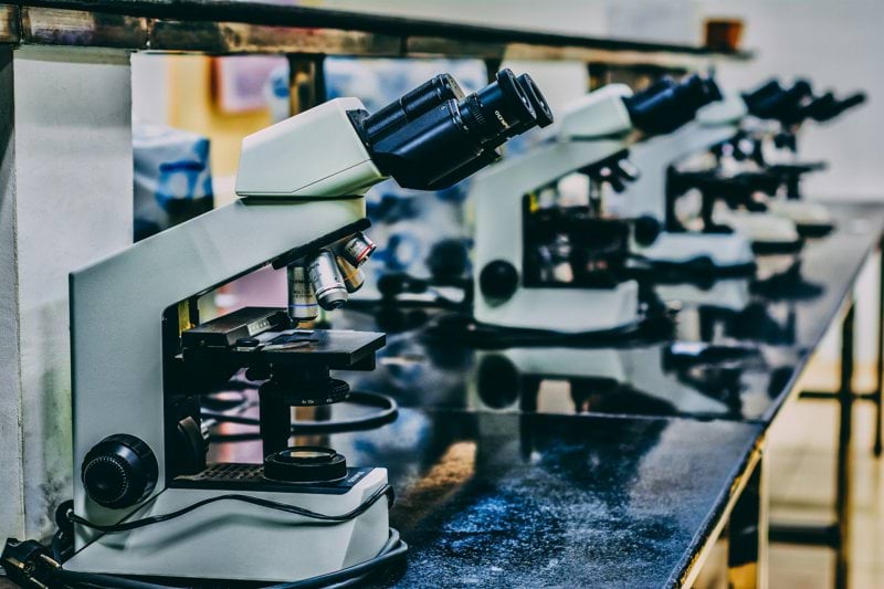 Docentes para el Máster en Ingeniería Biomédica image