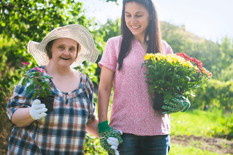 Day/Night Shift Care Assistant-Bexhill TN39 image