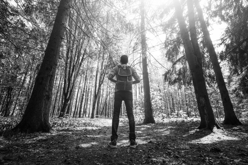 Vadošais/-ā IT risinājumu pārdošanas speciālists/-e (B2B) image