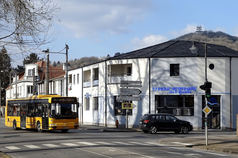 ST QUENTIN - AUXILIAIRE SPECIALISE.E VETERINAIRE - CDI image