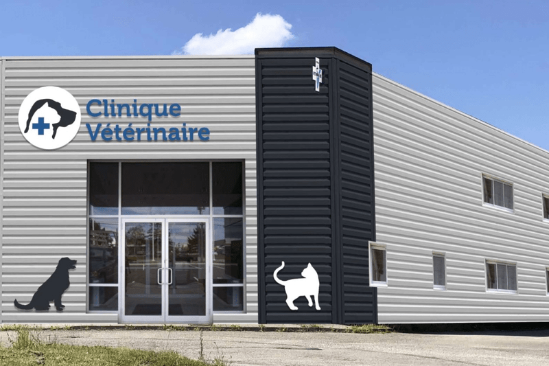 BREST - CLINIQUE SAINT-PIERRE - VETERINAIRE H/F - CDI image