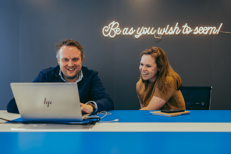 (Senior) Consultant Digitale Dienstverlening image