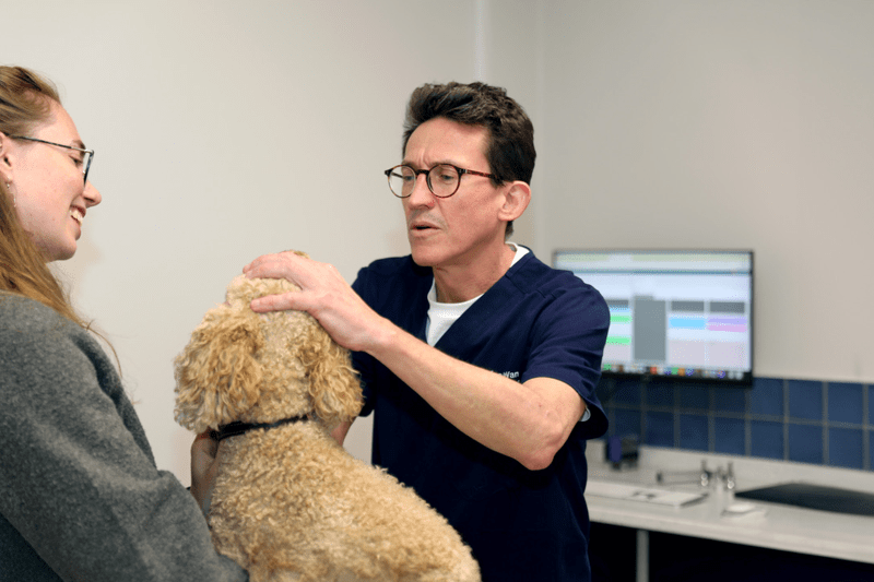 Veterinary Surgeon Bushey Part Time image