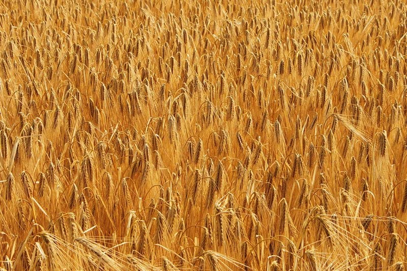 Stagiaire Marketing Commercial H/F - 6 mois image