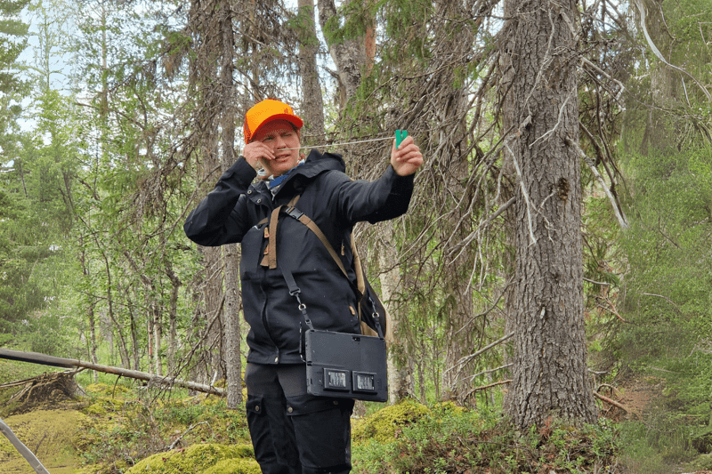 Mhy Metsä-Lappi: Metsäasiantuntija image