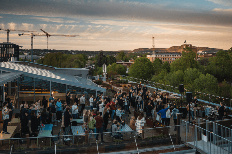 IT Support Assistant image