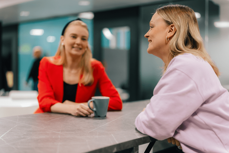 Kirjanpitäjä / Accountant image