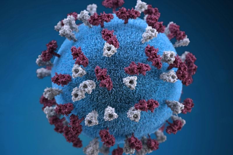 Profesores/as Acreditados para el Máster Universitario en Epidemiología y Salud Poblacional curso 25-26 image