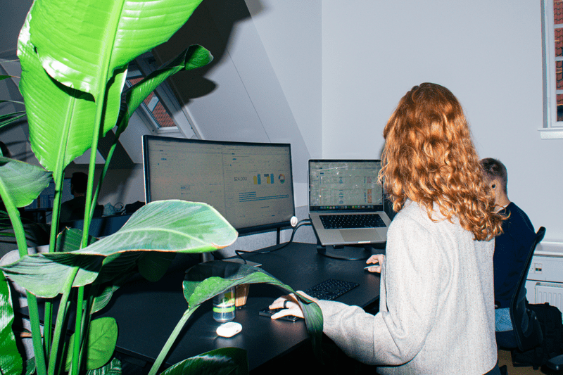 Solutions Konsulent (monday.com) image