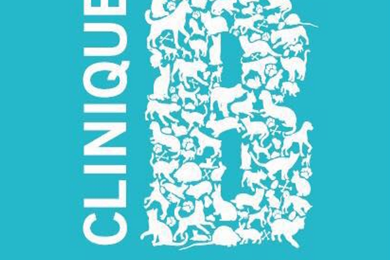 BOULINGRIN - ROUEN - VETERINAIRE CANIN CDD (H/F) image