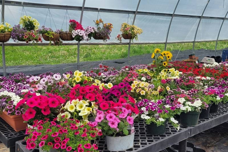 Butikssäljare till bemanningspool - Blomsterlandet - Nacka image