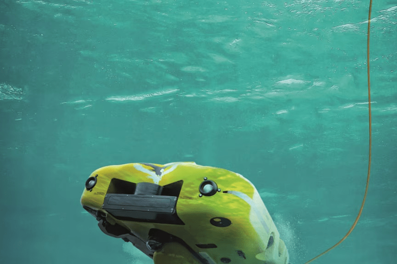 Ansvarlig bogholder. image