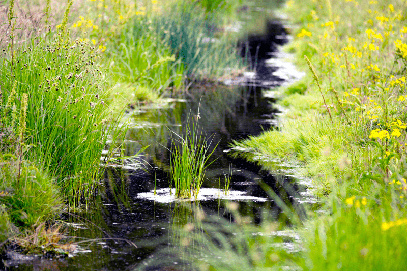 Spildevandsingeniør søges til Ikast-Brande Spildevand A/S image