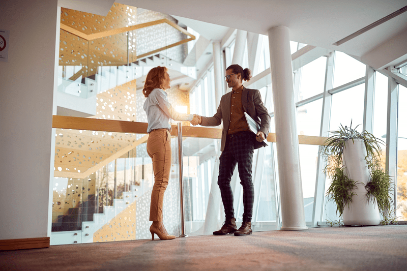 Interim ERP Sales Director B2B image