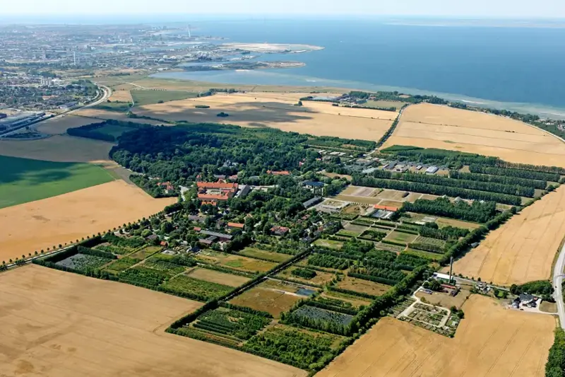 Interimschef till myndighet image