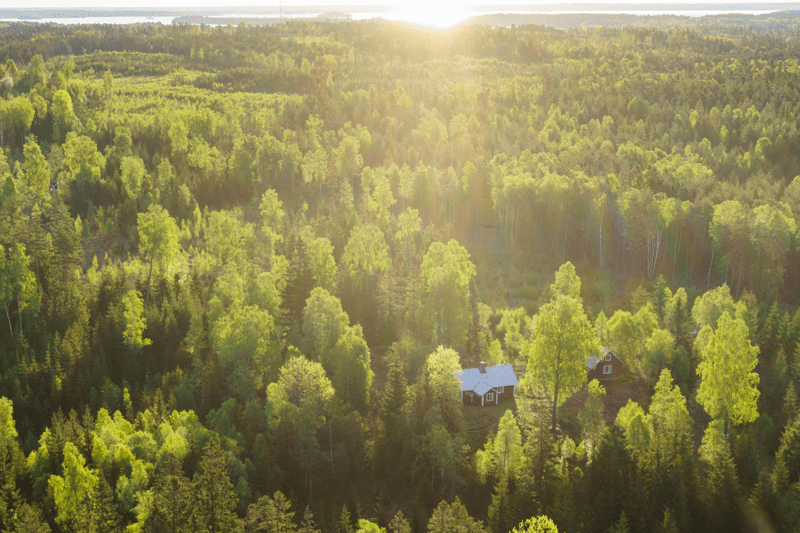 Generell lösningsarkitekt till Södra Skog image