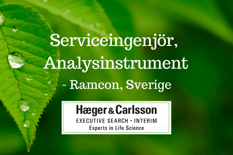 Serviceingenjör, Analysinstrument - Ramcon image