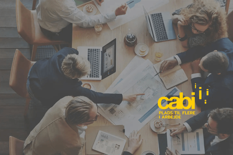 Seniorkonsulent hos Cabi image