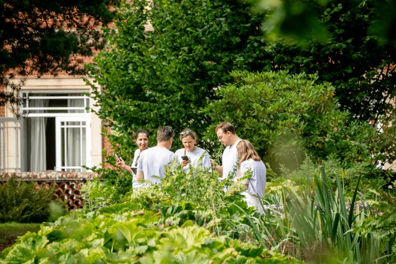 Account Manager image