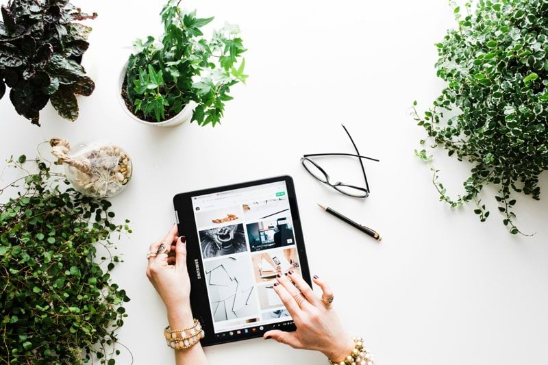 Produktägare / tech lead digitala plattformar till Världsnaturfonden WWF image
